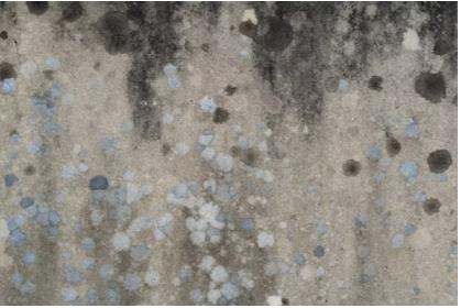 Does UV light kill mold?